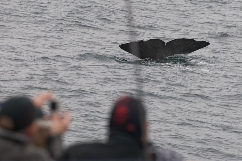 77 Valas Pyrsto 16.jpg - ja matka yleison edesta kohti syvyytta jatkuu